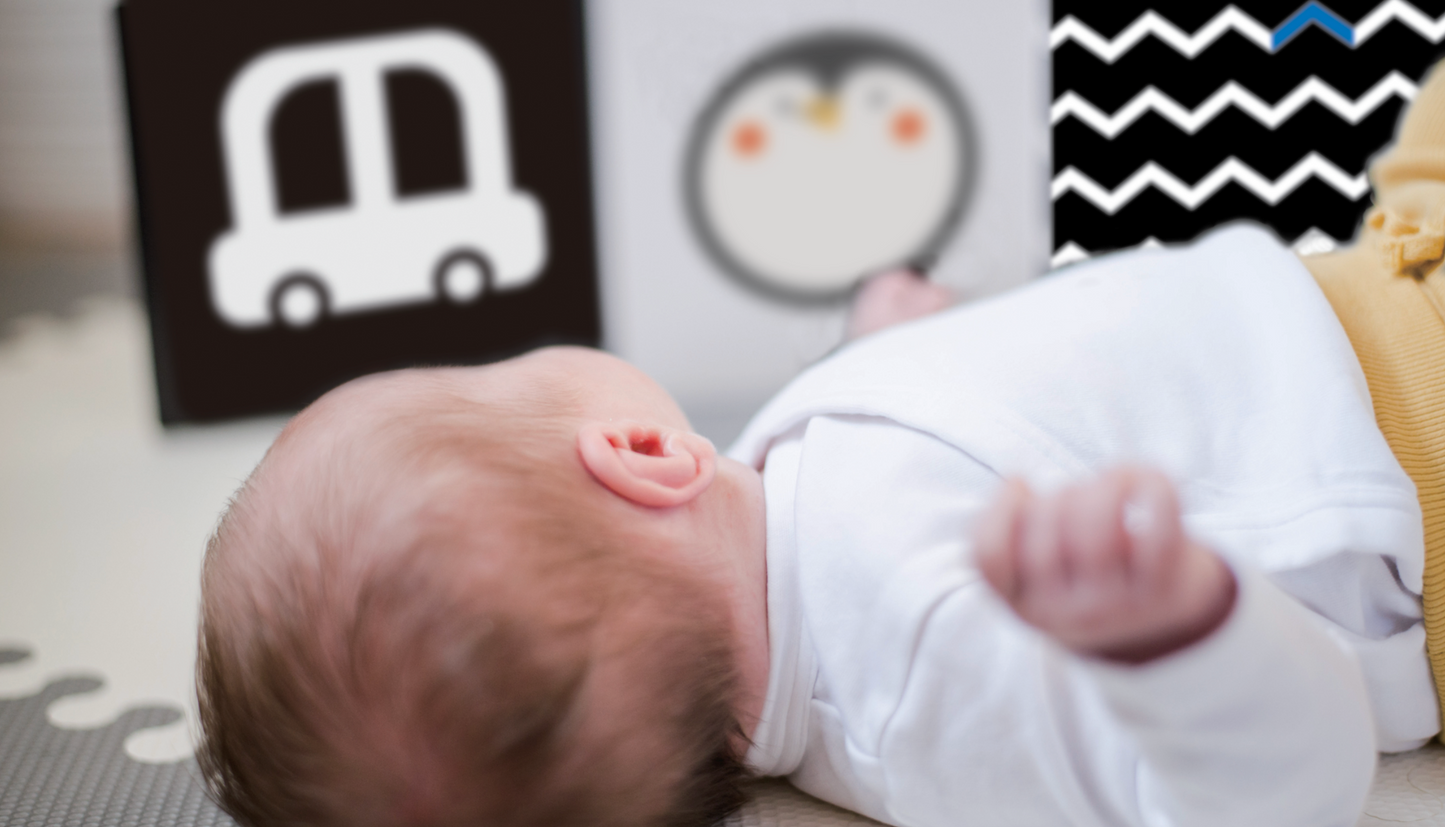 Foundation of Wonder (0-6 Months Old)